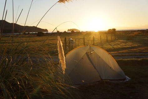 Tent Abel Tasman Park New Zealand