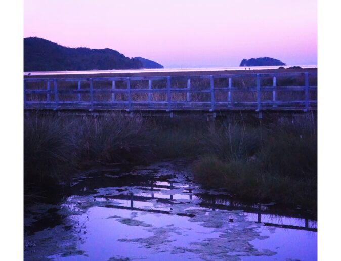 Bridge Near Abel Tasman National Park 2013, New Zealand