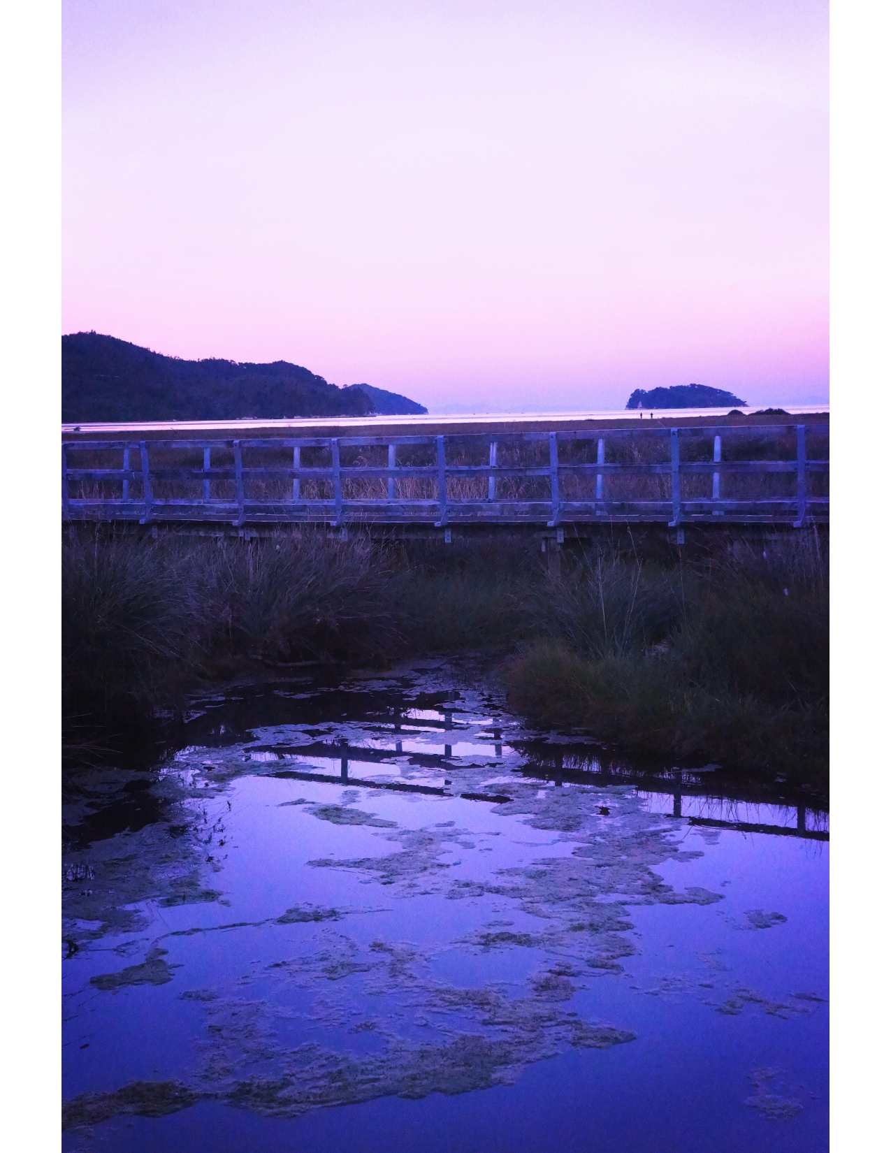 Bridge Near Abel Tasman National Park 2013, New Zealand